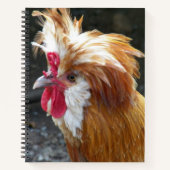 Carnet Poulet polonais rouge et blanc (Devant)