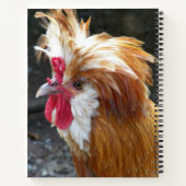 Carnet Poulet polonais rouge et blanc (Dos)