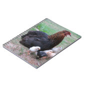 Carnet poulet, poussins, poulets, poussins, animal, oisea (Côté gauche)