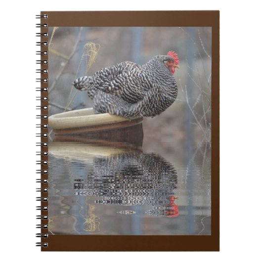 Carnet Poulet Sur Flowerpot (Devant)