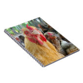 Carnet Poulets (Côté Droit)