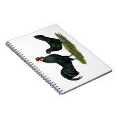 Carnet Poulets Augsburger (Côté Droit)