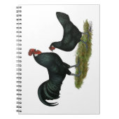 Carnet Poulets Augsburger (Devant)