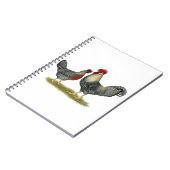 Carnet Poulets crèmes de Legbar (Côté gauche)