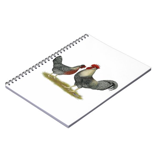 Carnet Poulets crèmes de Legbar (Côté gauche)