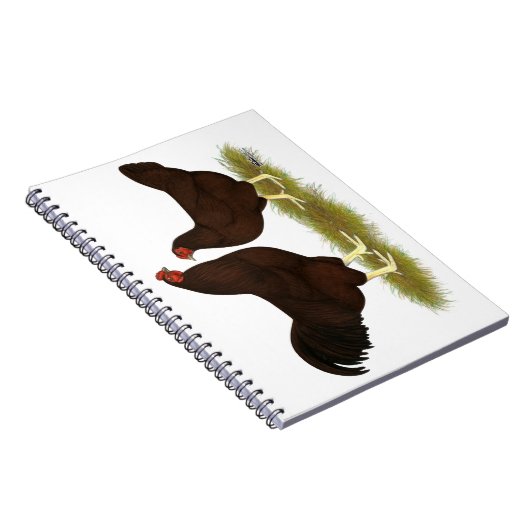 Carnet Poulets de Buckeye (Côté Droit)