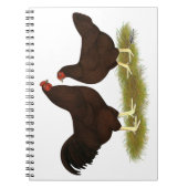 Carnet Poulets de Buckeye (Devant)