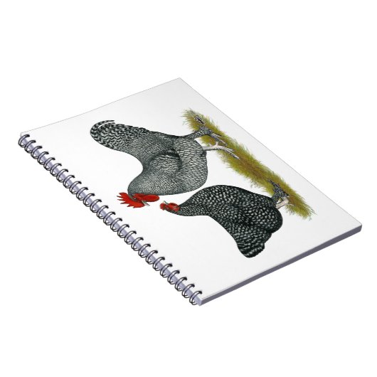 Carnet Poulets de Maline (Côté Droit)