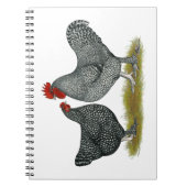 Carnet Poulets de Maline (Devant)