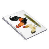 Carnet Poulets de Penedesenca (Côté Droit)