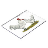 Carnet Poulets de pieds bleus (Côté gauche)