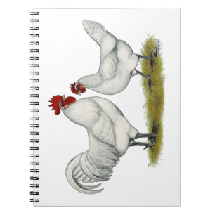 Carnet Poulets de pieds bleus