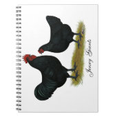 Carnet Poulets géants Jersey (Devant)