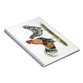 Carnet Poulets islandais (Côté Droit)