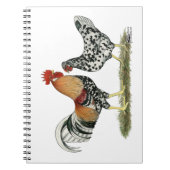 Carnet Poulets islandais (Devant)