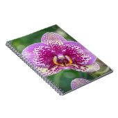 Carnet pourpre d'orchidée (Côté Droit)