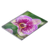 Carnet pourpre d'orchidée (Côté gauche)