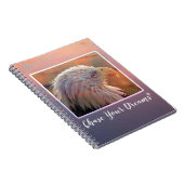 Carnet Poursuivez vos rêves (Côté Droit)