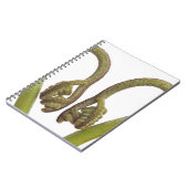 Carnet Pousses 2 de fougère (Côté gauche)