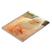 Carnet Poussins de bébé (Côté gauche)