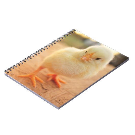 Carnet Poussins de bébé (Côté gauche)