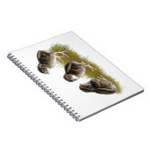 Carnet Poussins de caille Coturnix (Côté Droit)