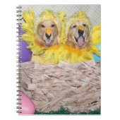 Carnet Poussins de golden retriever dans un nid (Devant)
