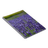 Carnet prairie de lavande violette (Côté Droit)