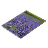 Carnet prairie de lavande violette (Côté gauche)