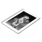 Carnet Prairie Dog#1-Notebook (Côté gauche)