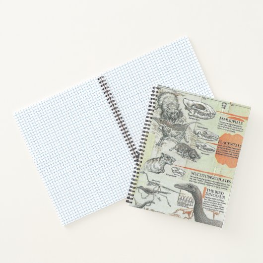 Carnet Prehistoric Notebook (Intérieur)