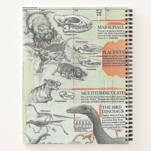 Carnet Prehistoric Notebook (Dos)