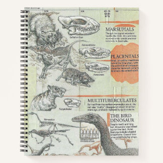 Carnet Prehistoric Notebook
