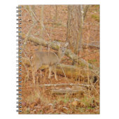 Carnet Premier hiver du Cerf de Bébé (Devant)