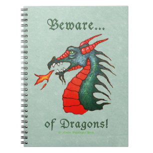Carnet Prenez garde de la peinture de dragons