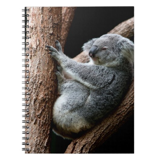 CARNET PRENEZ VOTRE TEMPS (Devant)