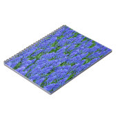 Carnet Pretty blue muscari flowers (Côté gauche)