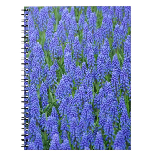 Carnet Pretty blue muscari flowers (Devant)