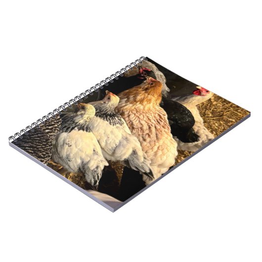 Carnet Pretty  Chickens Notebook (Côté gauche)