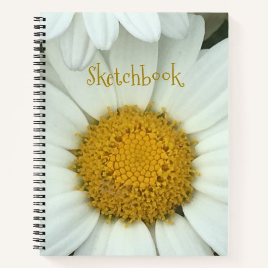 Carnet Pretty Daisy Sketch (Devant)