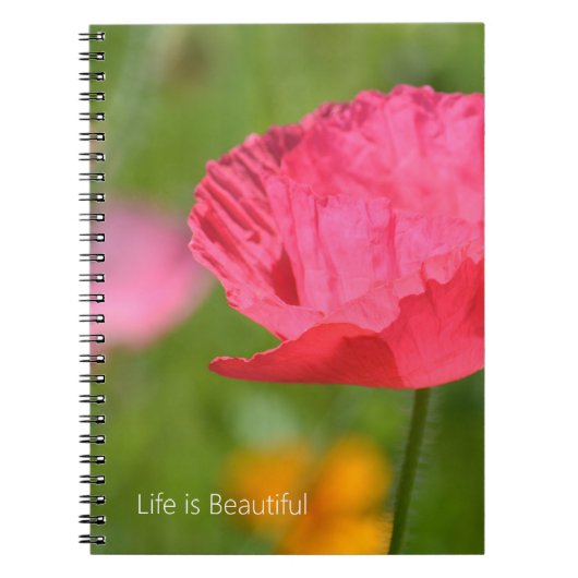 Carnet Pretty Pink Iceland Poppy Flower (my photography) (Devant)