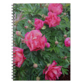 Carnet Pretty Pink Peony Bush (Devant)