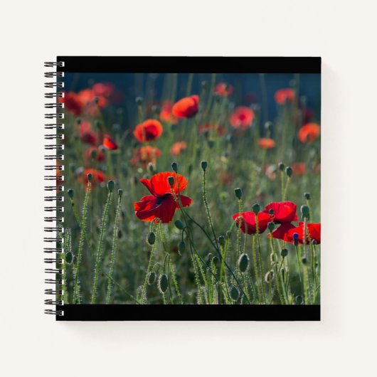 Carnet Pretty Poppies in Wild Meadow Photo (Devant)