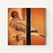 Carnet Prévenir la colombe (Dos)