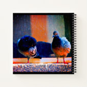 Carnet Prévenir les pigeons (Dos)