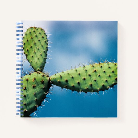 Carnet Prickley Cactus (Devant)