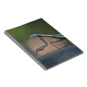 Carnet Prier Mantis (Côté Droit)