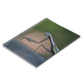 Carnet Prier Mantis (Côté gauche)