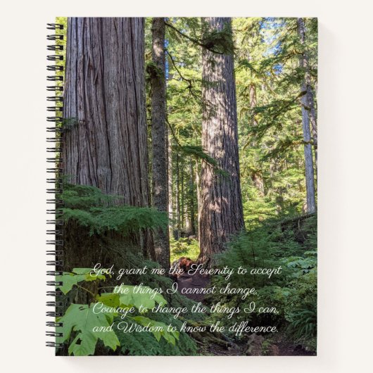 Carnet Prière de sérénité Forêt verte (Devant)