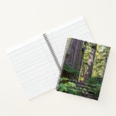 Carnet Prière de sérénité Forêt verte (Intérieur)